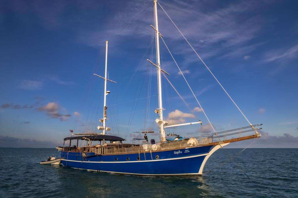 WhatsApp Image 2023-01-31 at 20.10.48 (2)